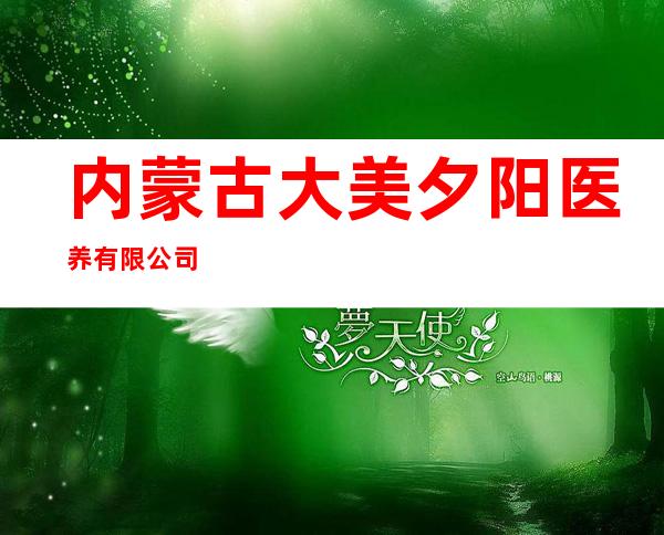 内蒙古大美夕阳医养有限公司