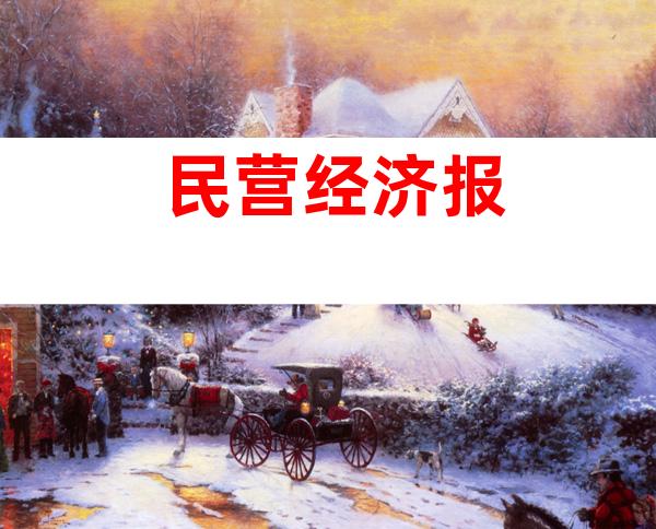 民营经济报